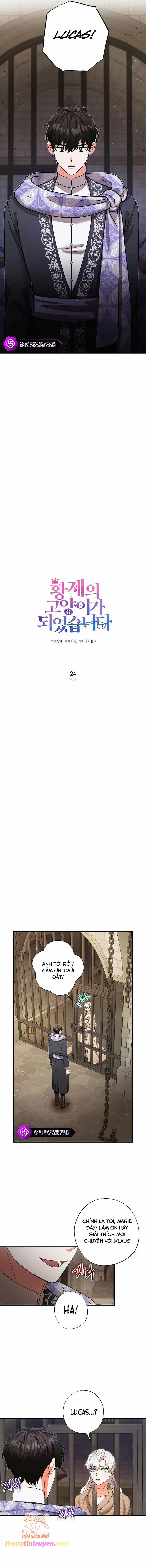 Trở Thành Miêu Nữ Của Hoàng Đế 24 trang 4