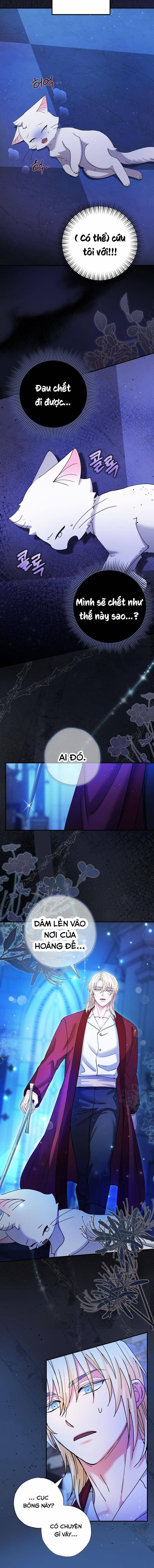 Trở Thành Miêu Nữ Của Hoàng Đế 4 trang 7