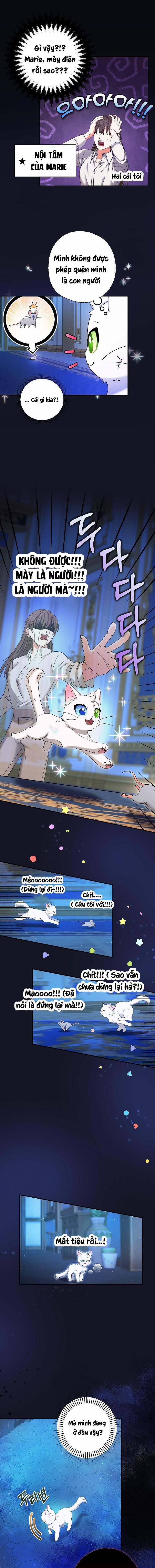 Trở Thành Miêu Nữ Của Hoàng Đế 5 trang 12