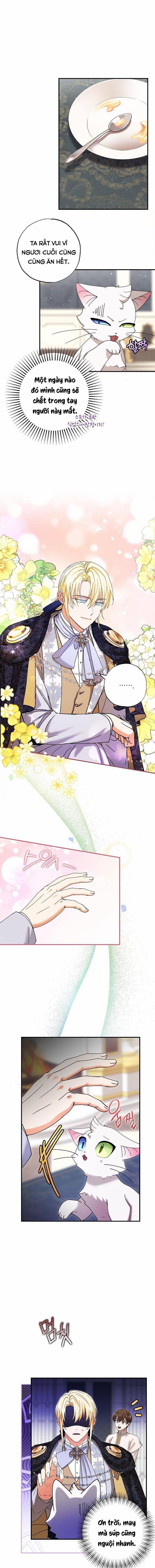 Trở Thành Miêu Nữ Của Hoàng Đế 5 trang 9