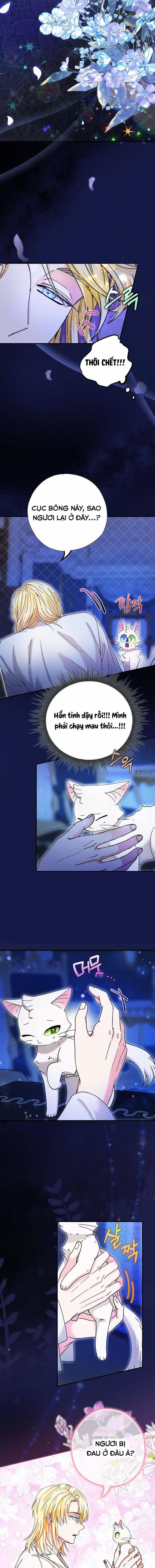 Trở Thành Miêu Nữ Của Hoàng Đế 6 trang 3