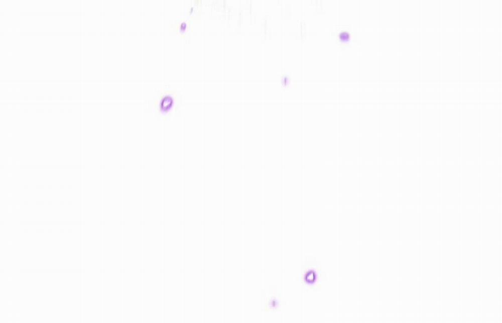 Trở Thành Thiên Tài Tốc Biến Của Học Viện Ma Pháp 24 trang 91