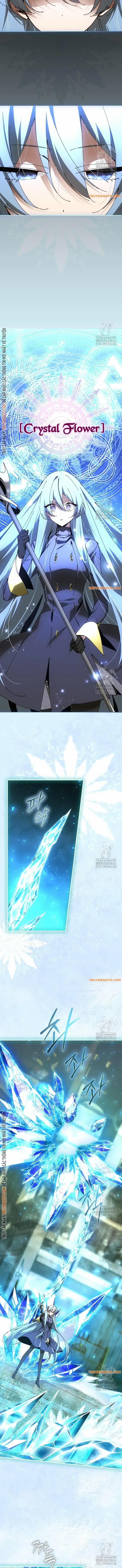 Trở Thành Thiên Tài Tốc Biến Của Học Viện Ma Pháp 45 trang 10