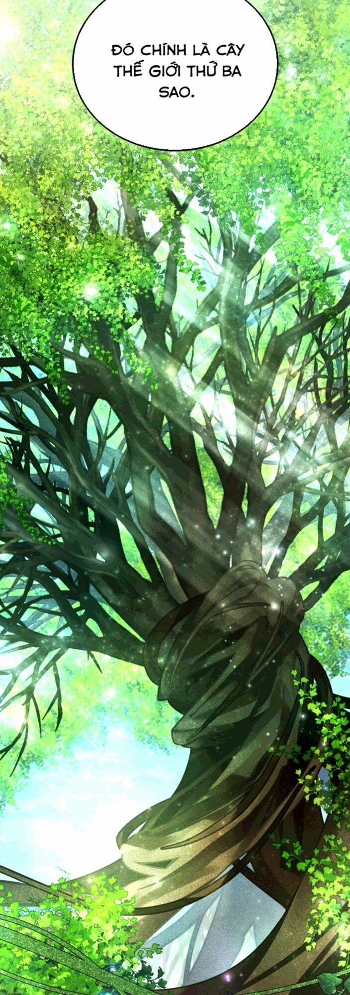 Trở Thành Thiên Tài Tốc Biến Của Học Viện Ma Pháp 49 trang 5