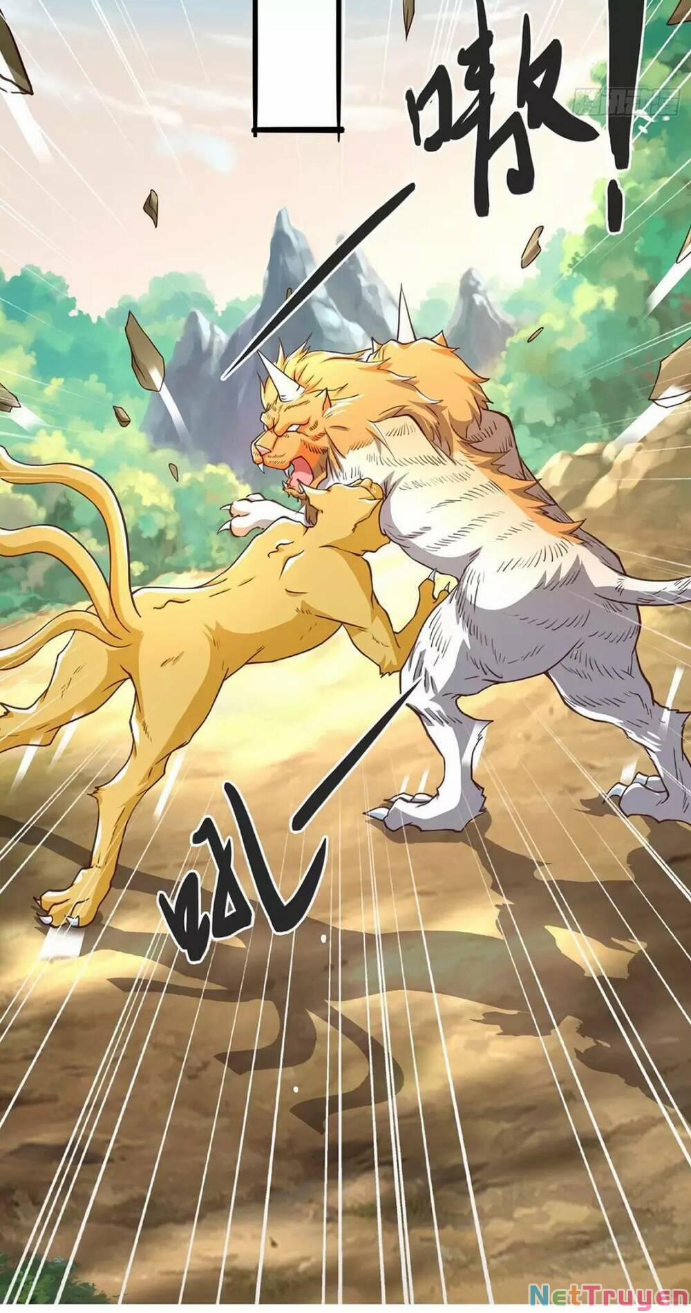 Trời Má ! Ta Chuyển Sinh Thành Rùa ! 0 trang 13