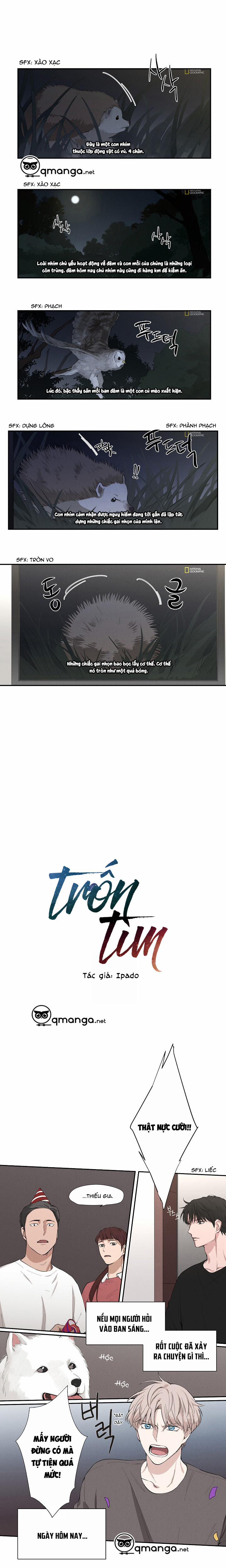 Trốn Tìm 5 trang 0