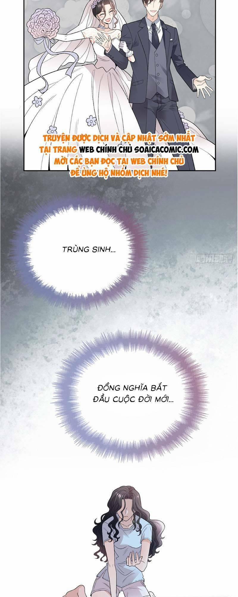 Trọng Sinh Báo Thù Gặp Được Bá Đạo Tổng Tài 2 trang 25