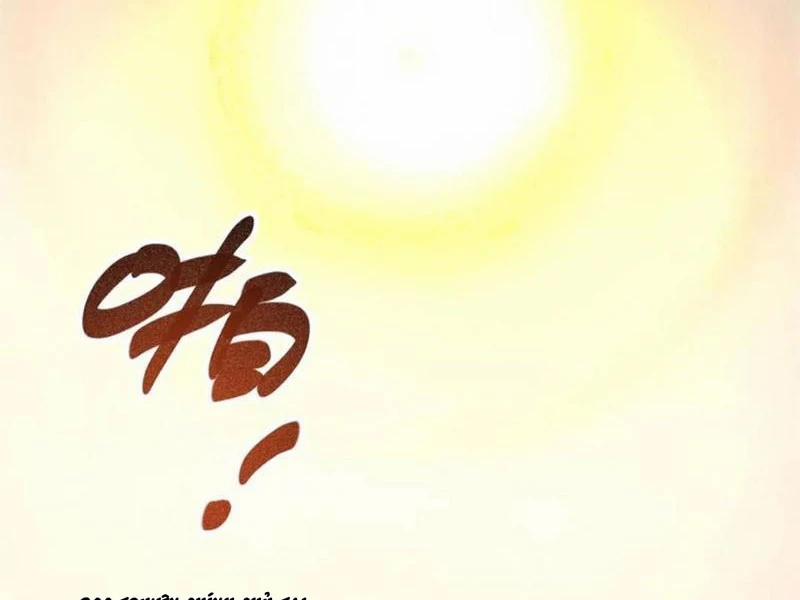 Trọng Sinh Không Làm Chạn Vương, Tôi Một Mình Nạp Game Thăng Cấp 106 trang 7