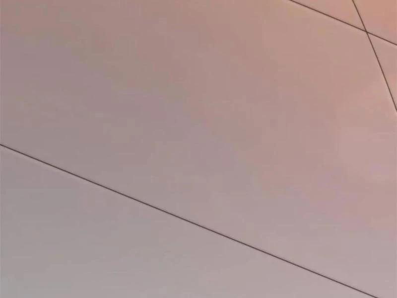 Trọng Sinh Không Làm Chạn Vương, Tôi Một Mình Nạp Game Thăng Cấp 141 trang 50