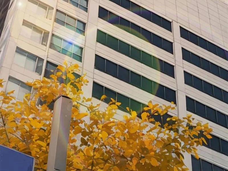 Trọng Sinh Không Làm Chạn Vương, Tôi Một Mình Nạp Game Thăng Cấp 160 trang 78