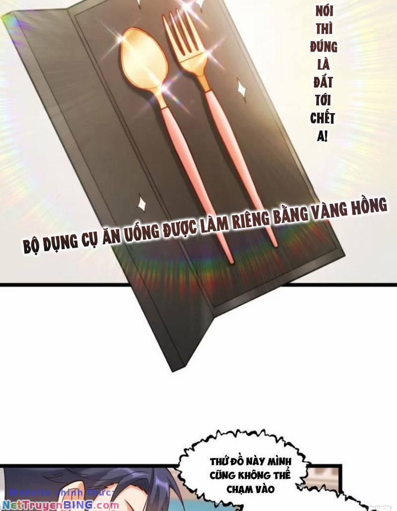 Trọng Sinh Không Làm Chạn Vương, Tôi Một Mình Nạp Game Thăng Cấp 58 trang 33