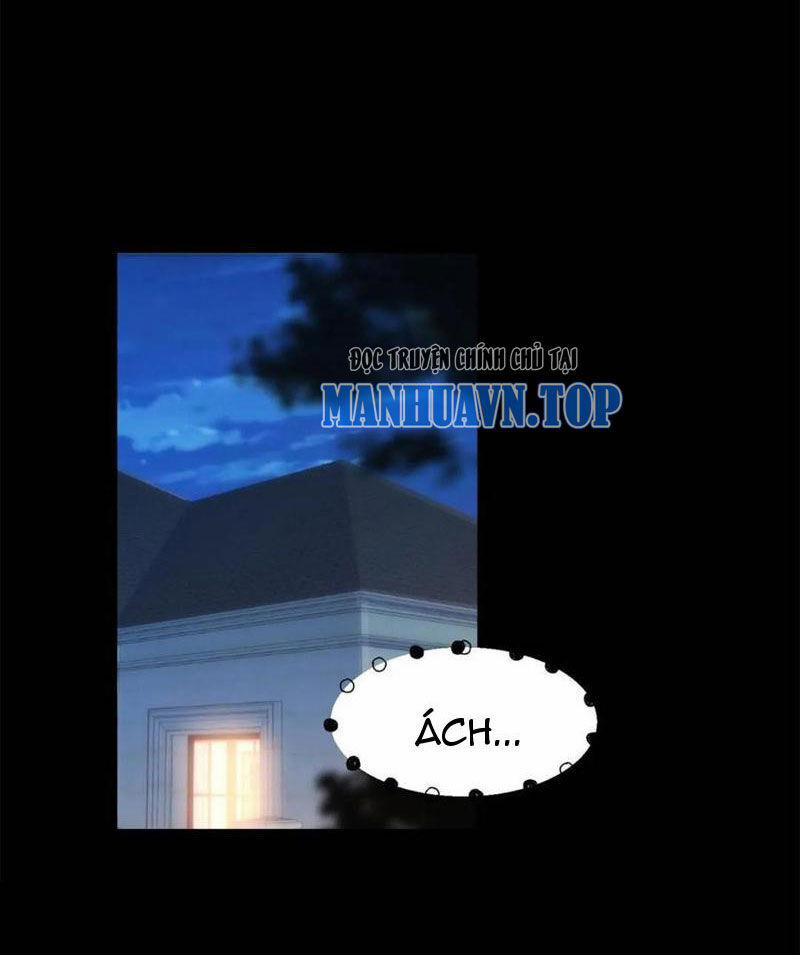 Trọng Sinh Không Làm Chạn Vương, Tôi Một Mình Nạp Game Thăng Cấp 87 trang 25