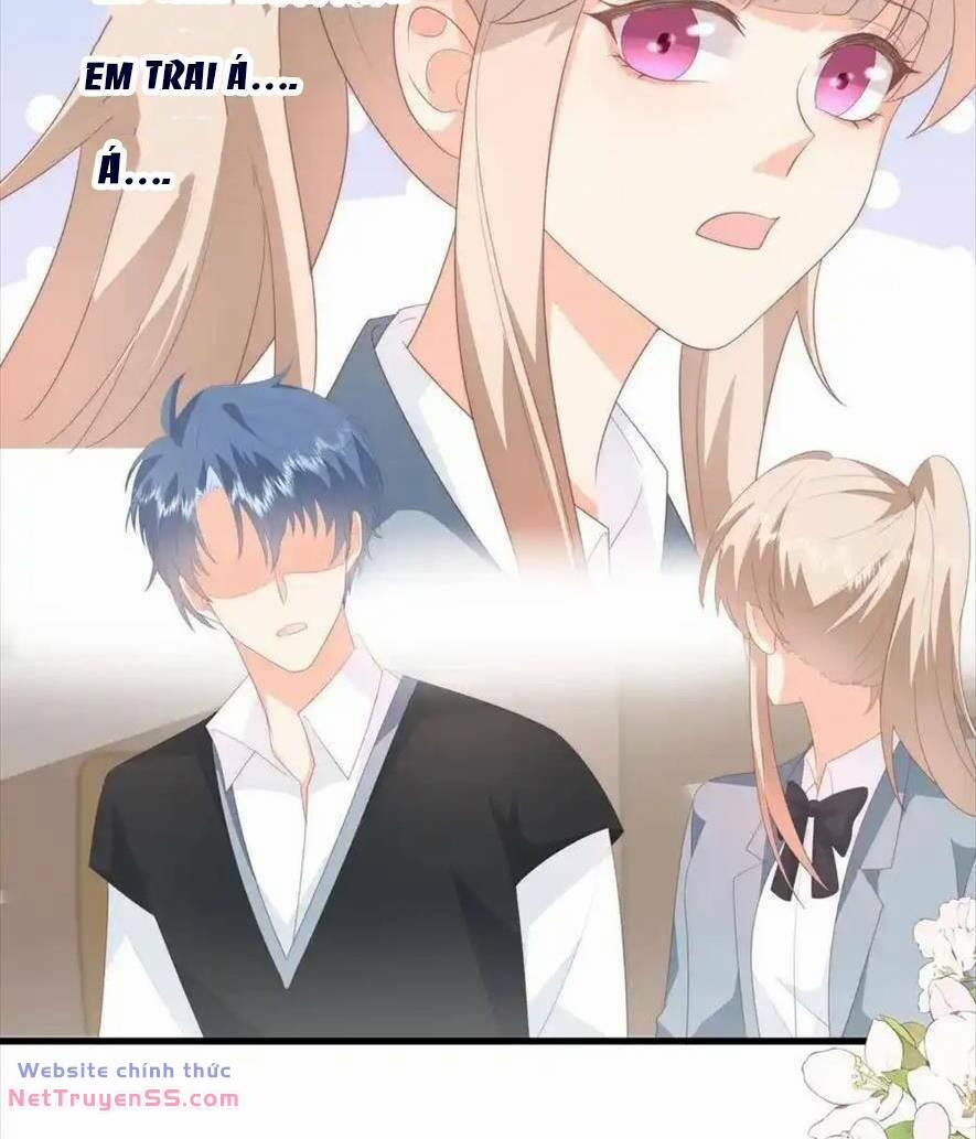 Trọng Sinh Trở Lại Làm Vợ Tổng Tài 118 trang 8