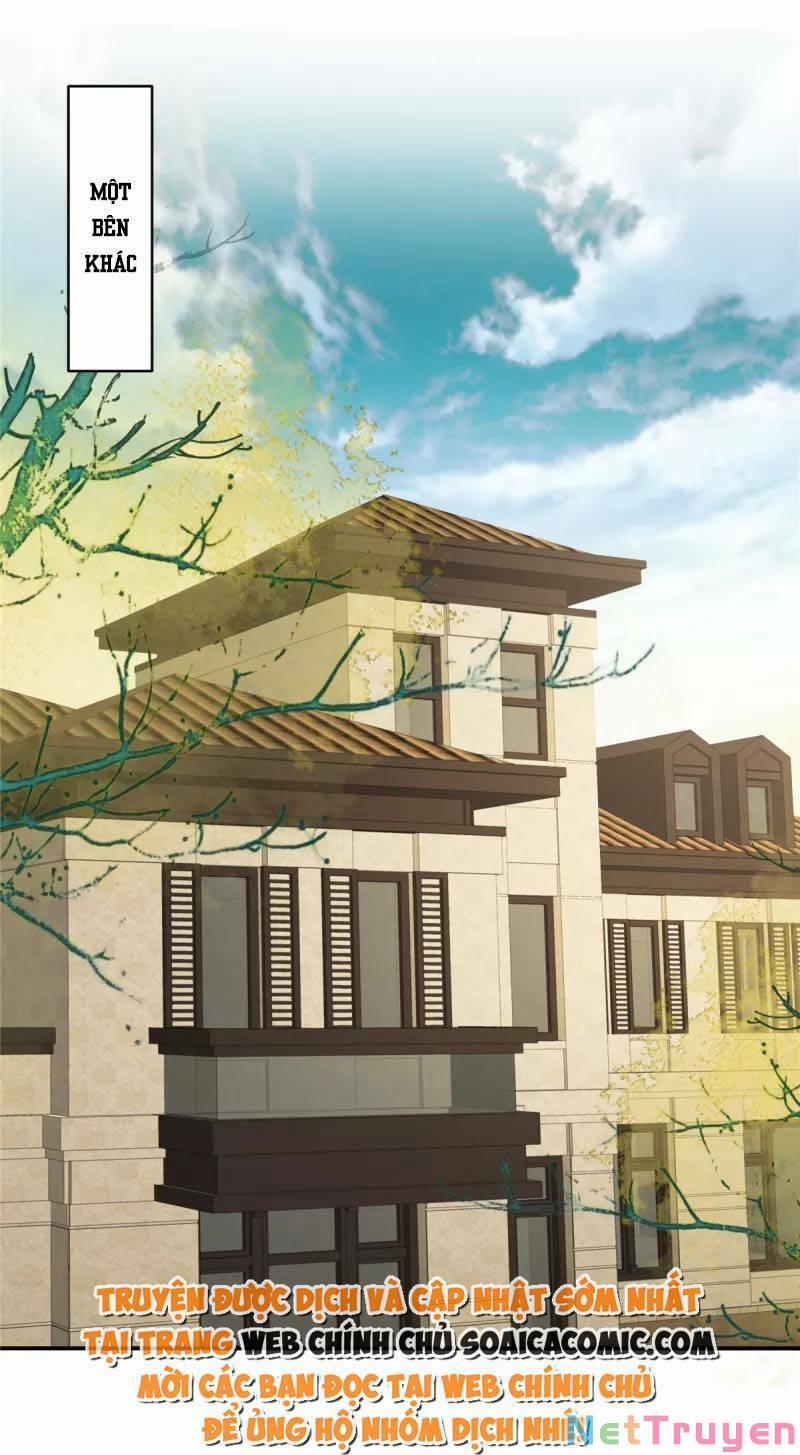 Trọng Sinh Trở Lại: Sủng Nịch Độc Nhất Vô Nhị 241 trang 1