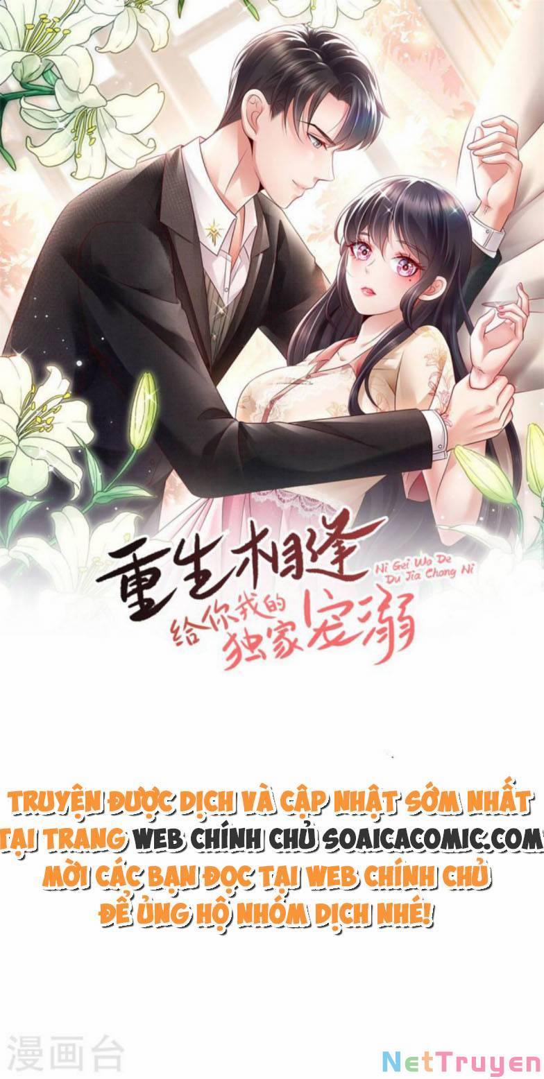 Trọng Sinh Trở Lại: Sủng Nịch Độc Nhất Vô Nhị 267 trang 0