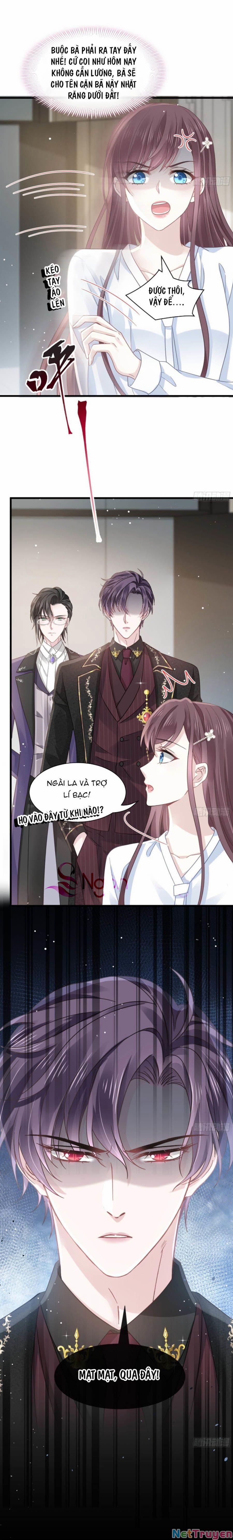 Trọng Sinh Trở Thành Món Tráng Miệng Của Tổng Tài Ma Cà Rồng 16 trang 8