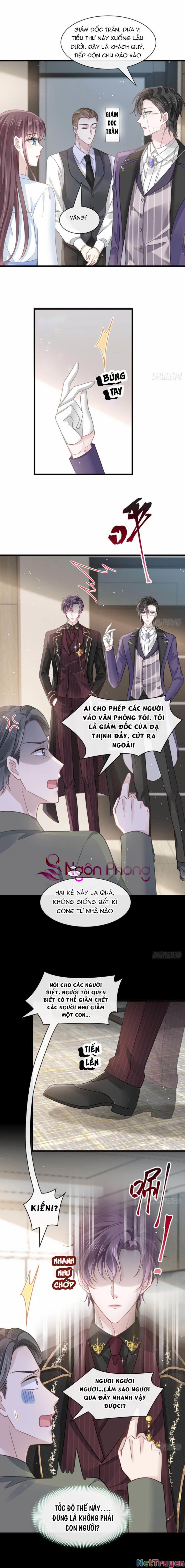 Trọng Sinh Trở Thành Món Tráng Miệng Của Tổng Tài Ma Cà Rồng 17 trang 0