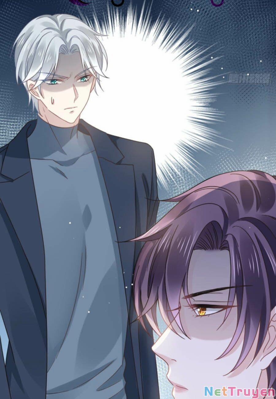 Trọng Sinh Trở Thành Món Tráng Miệng Của Tổng Tài Ma Cà Rồng 19 trang 31