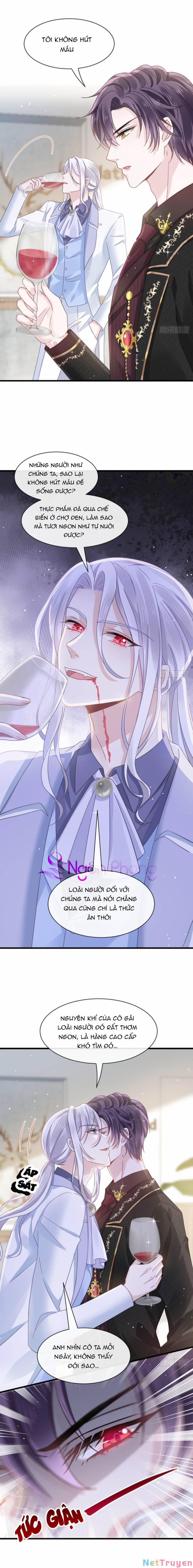 Trọng Sinh Trở Thành Món Tráng Miệng Của Tổng Tài Ma Cà Rồng 22 trang 2