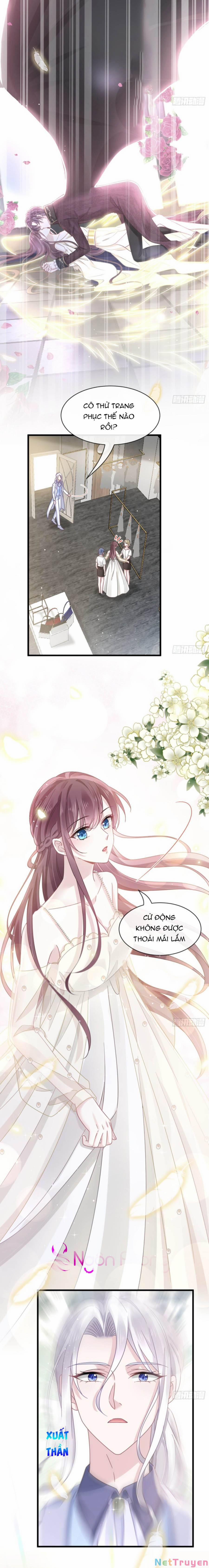 Trọng Sinh Trở Thành Món Tráng Miệng Của Tổng Tài Ma Cà Rồng 22 trang 4