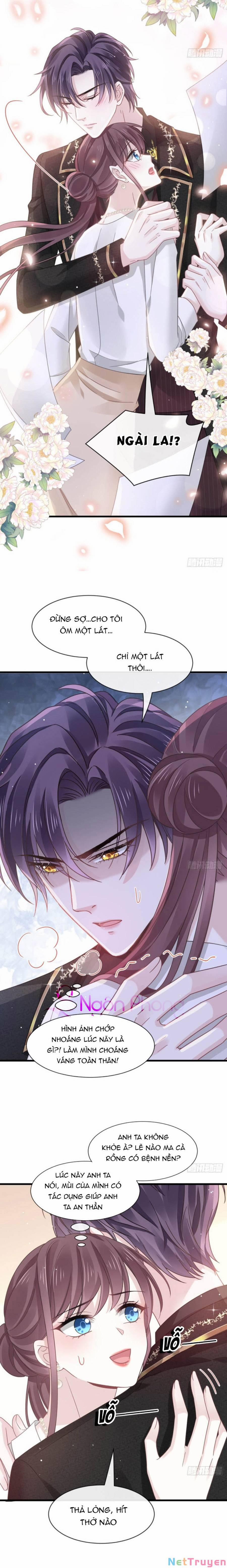 Trọng Sinh Trở Thành Món Tráng Miệng Của Tổng Tài Ma Cà Rồng 24 trang 7