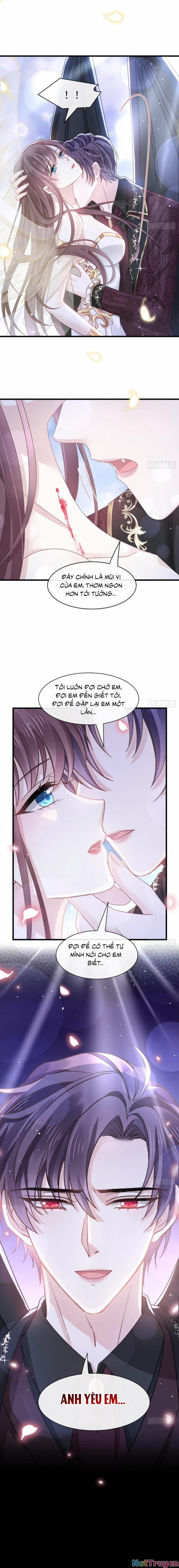 Trọng Sinh Trở Thành Món Tráng Miệng Của Tổng Tài Ma Cà Rồng 25 trang 2