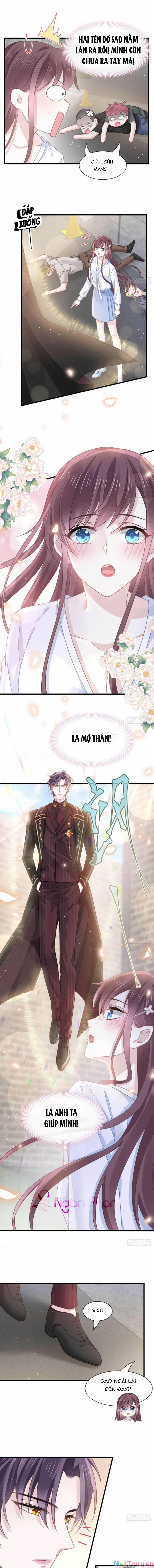 Trọng Sinh Trở Thành Món Tráng Miệng Của Tổng Tài Ma Cà Rồng 28 trang 3