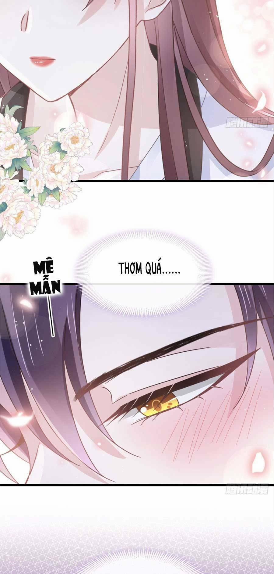 Trọng Sinh Trở Thành Món Tráng Miệng Của Tổng Tài Ma Cà Rồng 31 trang 16