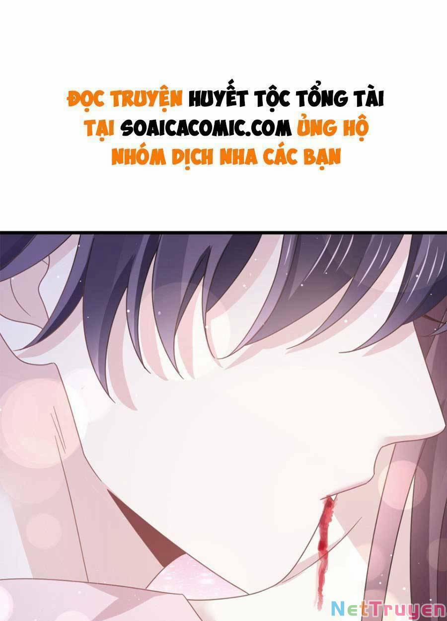 Trọng Sinh Trở Thành Món Tráng Miệng Của Tổng Tài Ma Cà Rồng 50 trang 1
