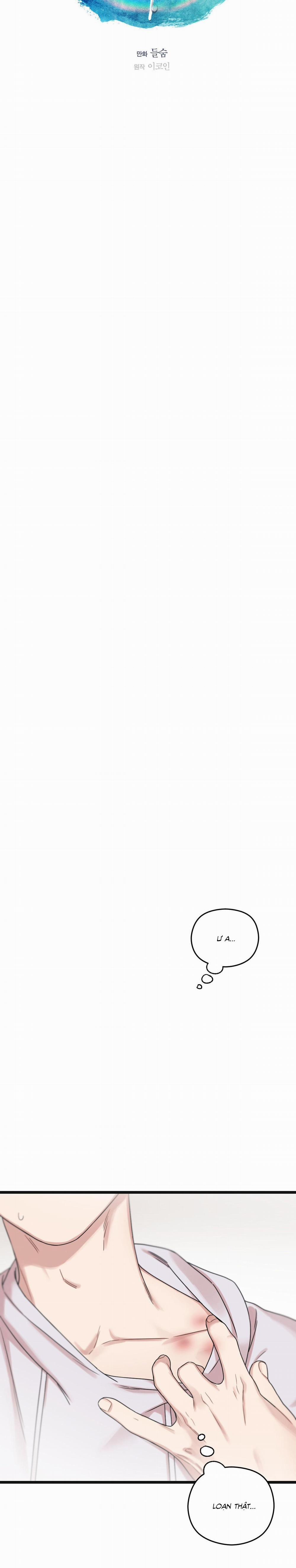 Trùng Phùng 46 trang 13