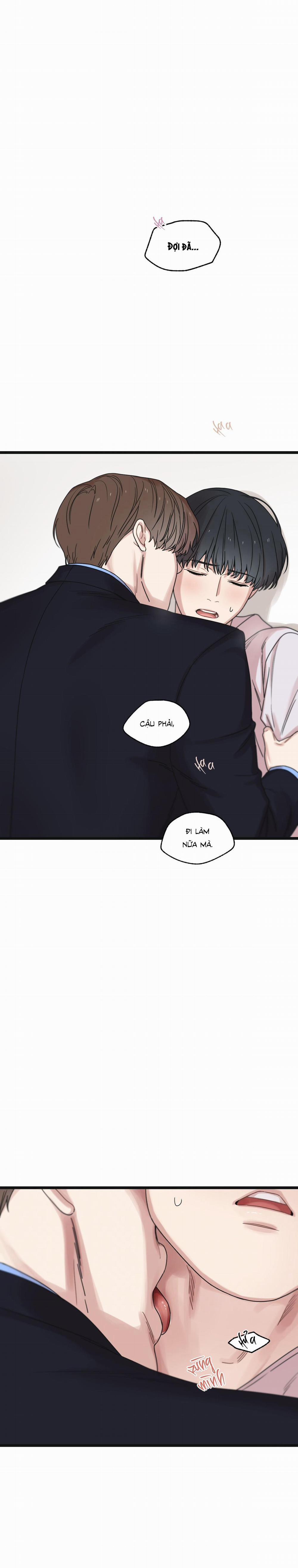 Trùng Phùng 46 trang 3