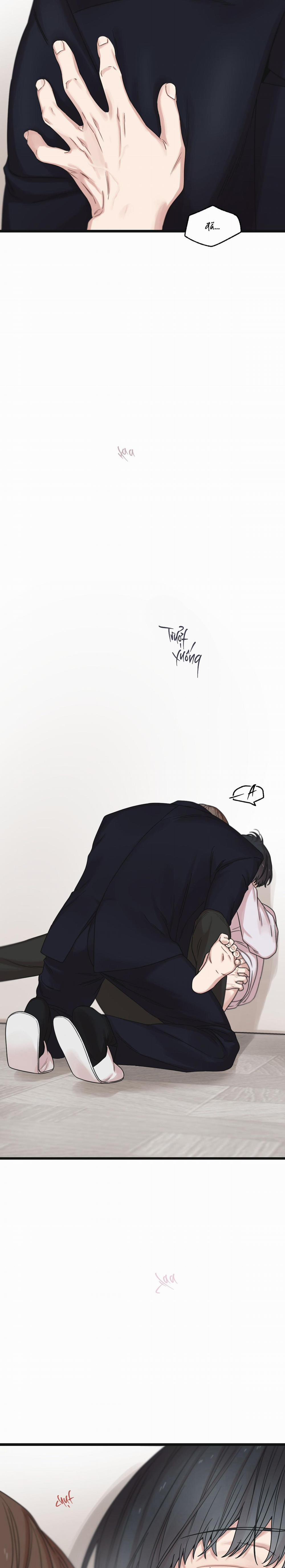 Trùng Phùng 46 trang 5