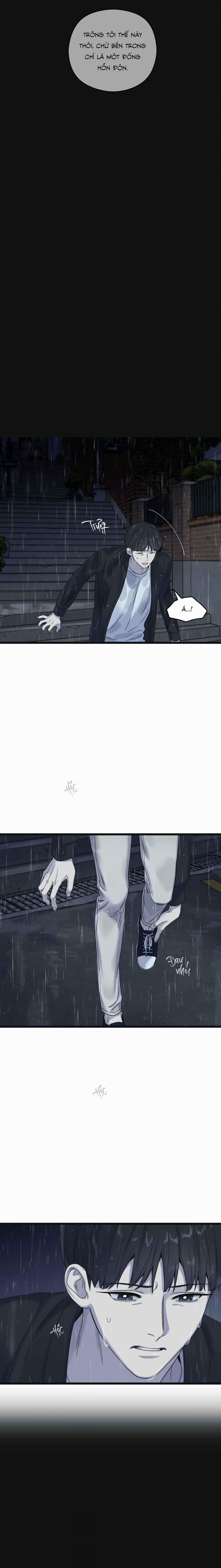 Trùng Phùng 50 trang 11