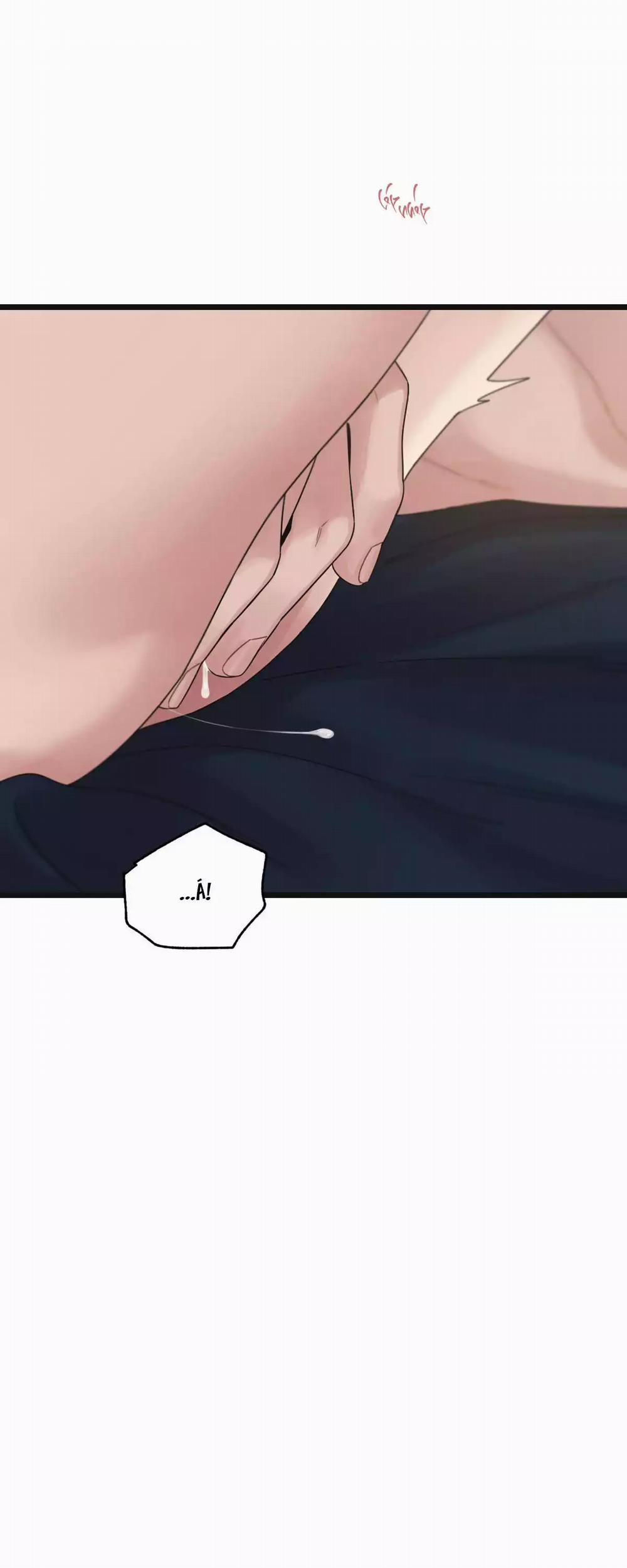 Trùng Phùng 51 trang 39