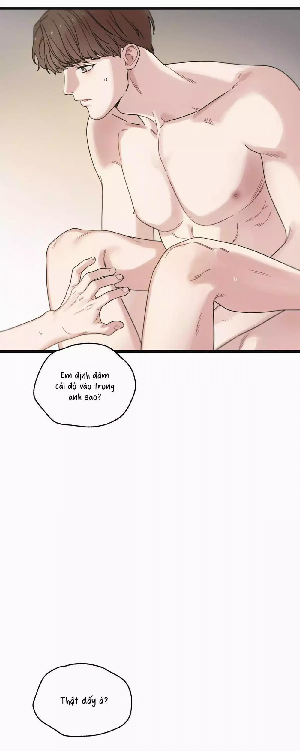 Trùng Phùng 51 trang 56