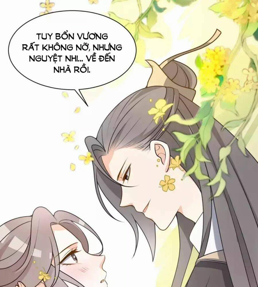 Trùng Sinh Chuyên Sủng Độc Phi Của Nhiếp Chính Vương 42 trang 44