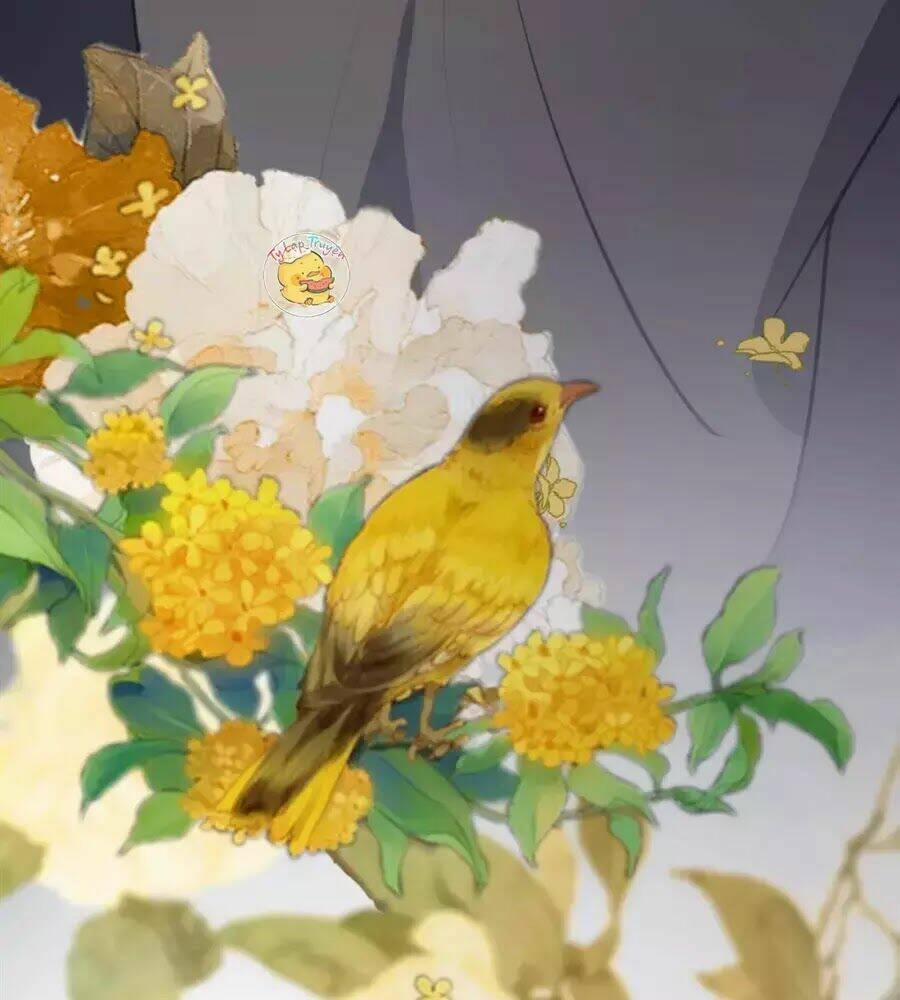 Trùng Sinh Chuyên Sủng Độc Phi Của Nhiếp Chính Vương 42 trang 46