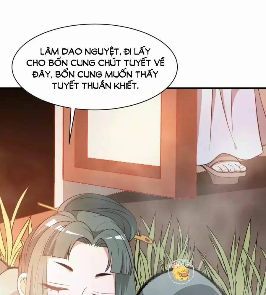 Trùng Sinh Chuyên Sủng Độc Phi Của Nhiếp Chính Vương 45 trang 16