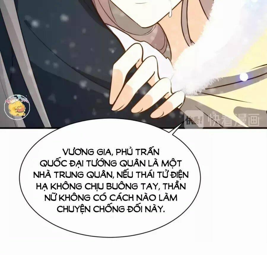 Trùng Sinh Chuyên Sủng Độc Phi Của Nhiếp Chính Vương 47 trang 20