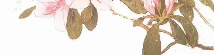 Trùng Sinh Chuyên Sủng Độc Phi Của Nhiếp Chính Vương 48 trang 13