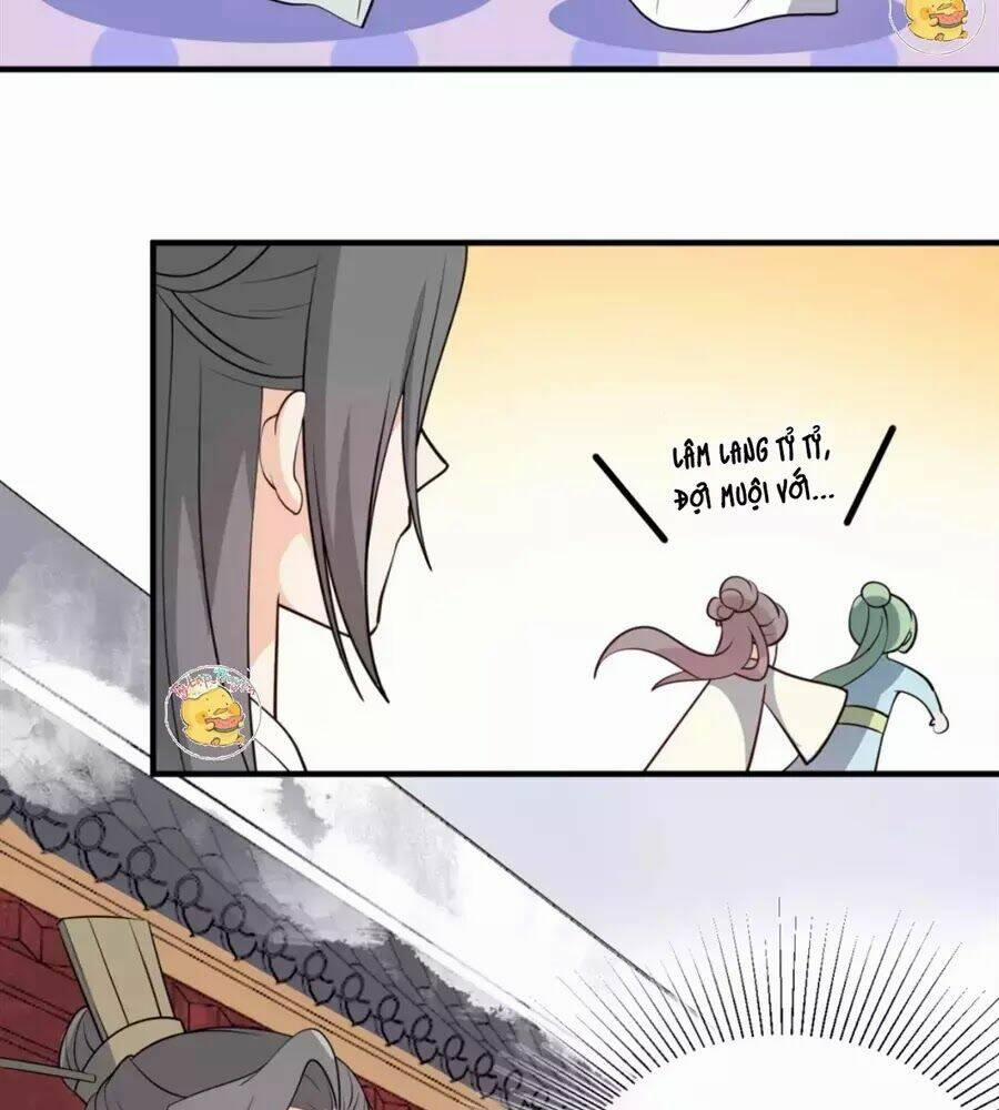 Trùng Sinh Chuyên Sủng Độc Phi Của Nhiếp Chính Vương 50 trang 14