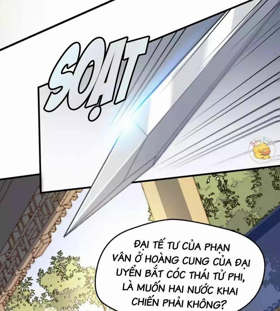 Trùng Sinh Chuyên Sủng Độc Phi Của Nhiếp Chính Vương 51 trang 17