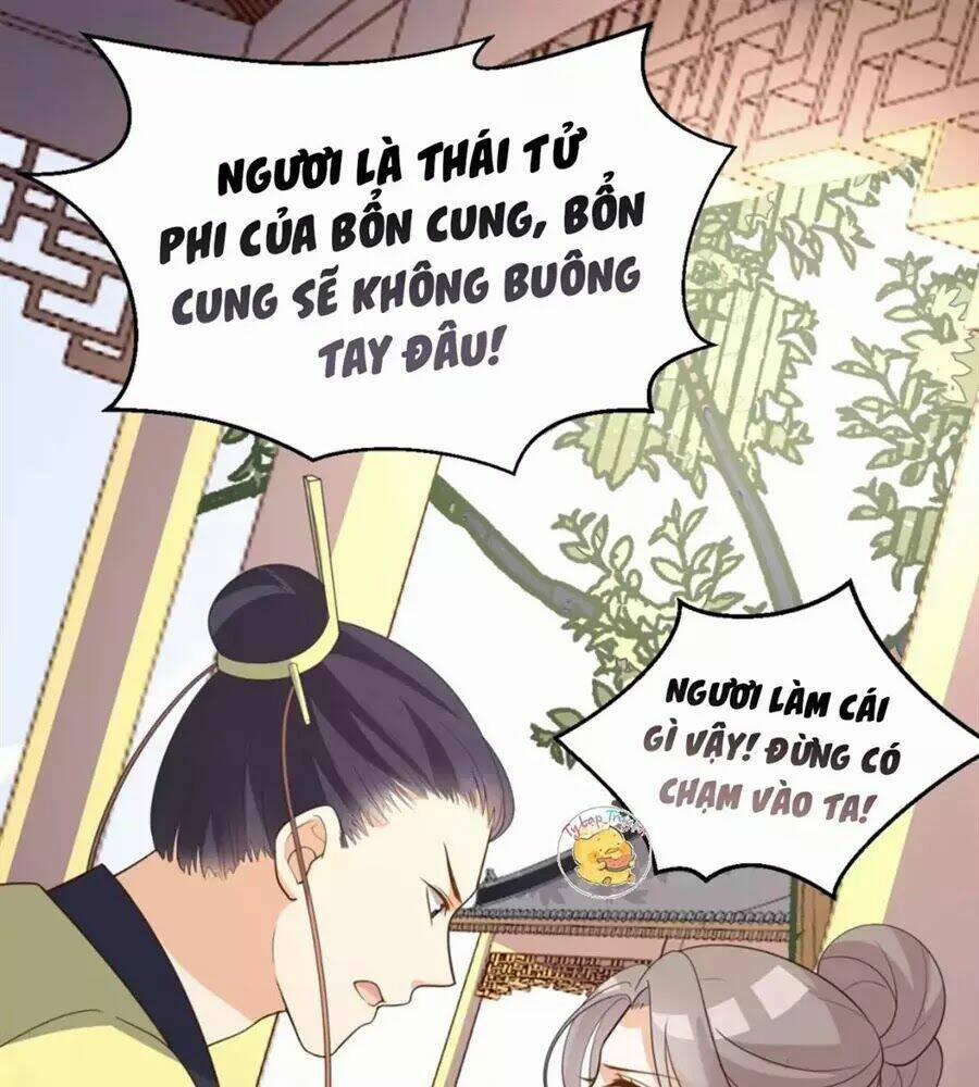 Trùng Sinh Chuyên Sủng Độc Phi Của Nhiếp Chính Vương 51 trang 32