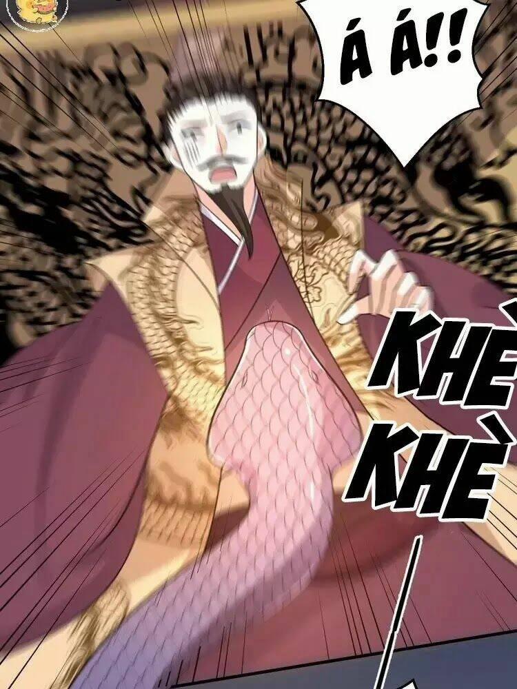 Trùng Sinh Chuyên Sủng Độc Phi Của Nhiếp Chính Vương 53 trang 47