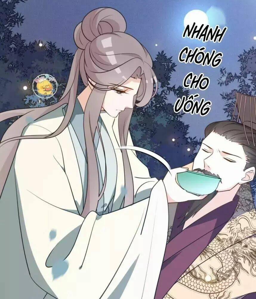 Trùng Sinh Chuyên Sủng Độc Phi Của Nhiếp Chính Vương 57 trang 12