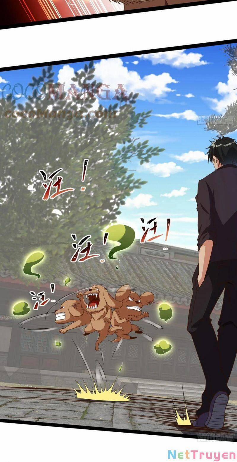 Trùng Sinh Đô Thị Thiên Tôn 311 trang 21