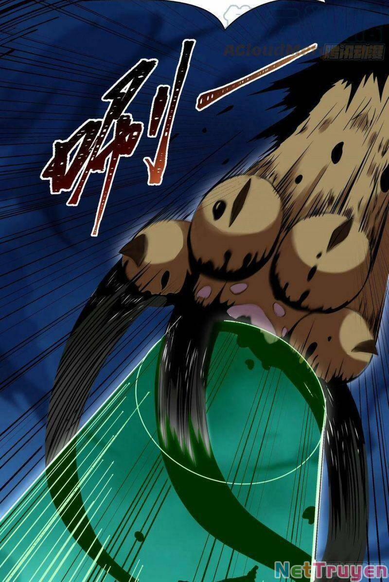 Trùng Sinh Đô Thị Thiên Tôn 313 trang 6