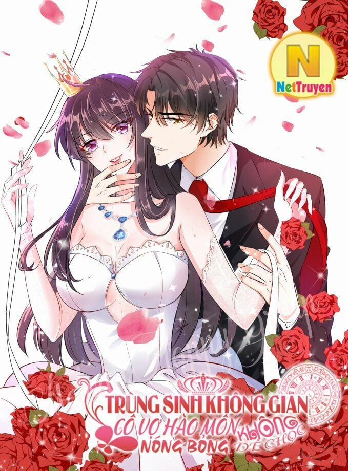 Trùng Sinh Không Gian: Cô Vợ Hào Môn Nóng Bỏng Không Dễ Chọc 19 trang 1