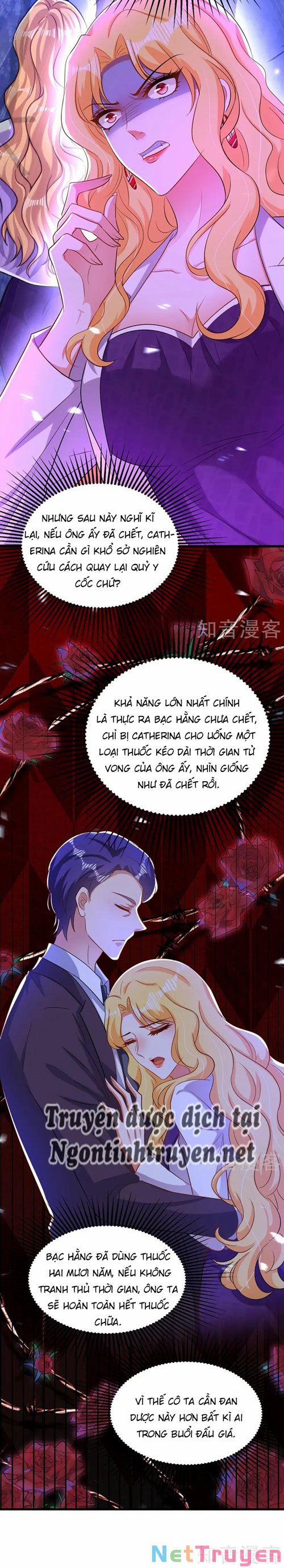 Trùng Sinh Không Gian: Cô Vợ Hào Môn Nóng Bỏng Không Dễ Chọc 269 trang 12