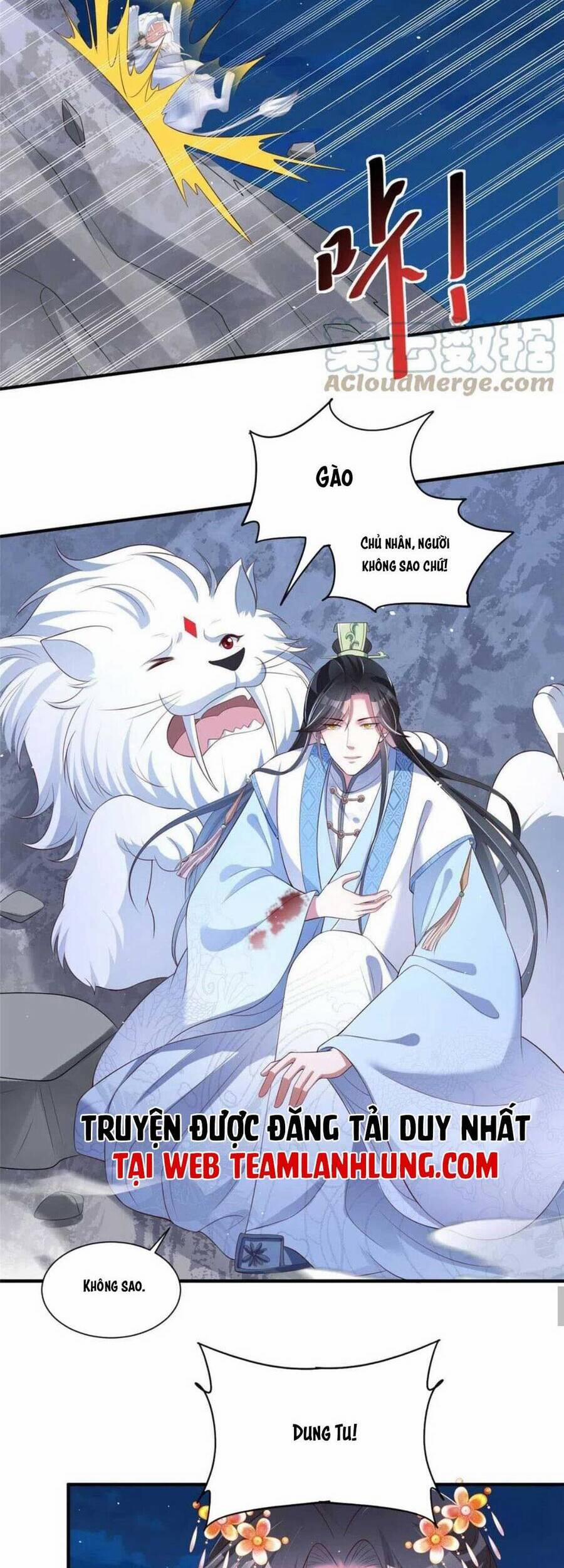 Trùng Sinh Sống Lại ! Các Hoàng Tử Ai Cũng Muốn Cưới Ta ! 49 trang 11